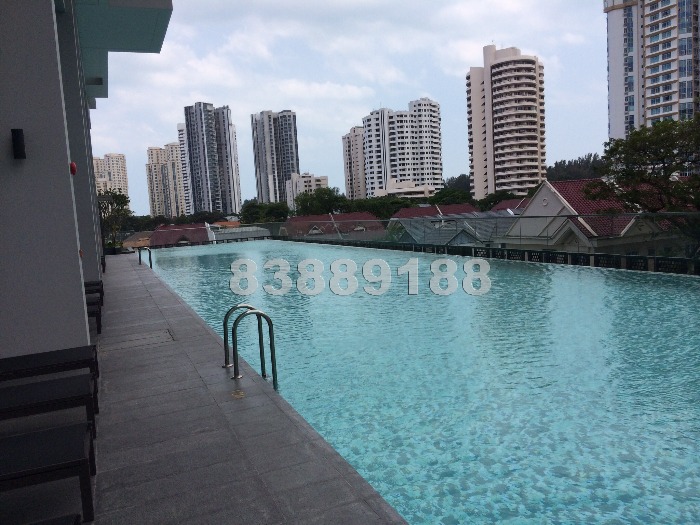 Meier Suites (D15), Condominium #517242